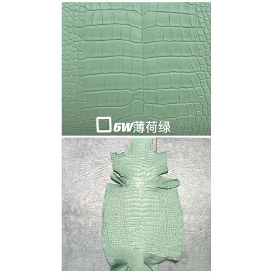 Hermes Matte American Crocodile Color Card