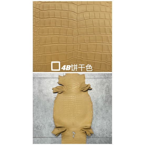 Hermes Matte American Crocodile Color Card