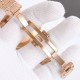 Audemars Piguet Watches