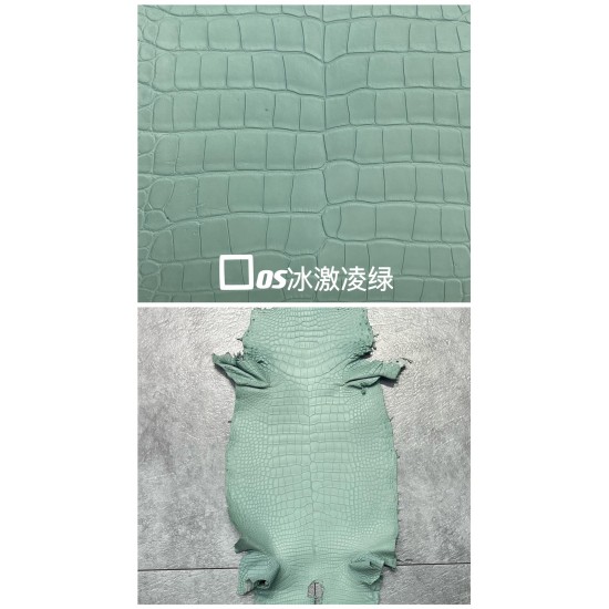 Hermes Matte American Crocodile Color Card