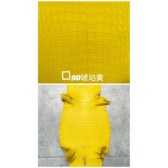 Hermes Matte American Crocodile Color Card