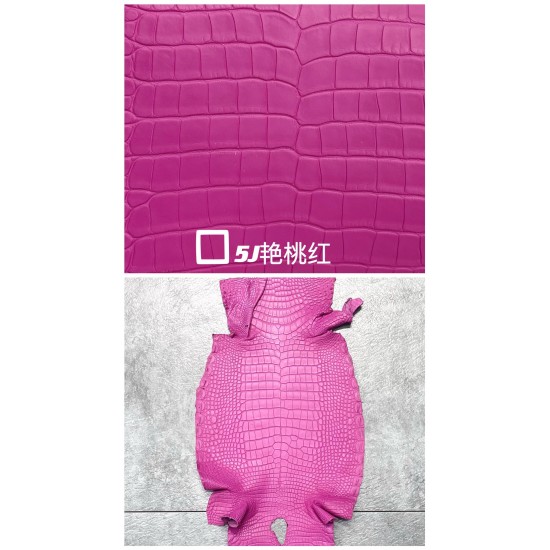 Hermes Matte American Crocodile Color Card