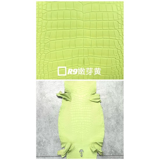 Hermes Matte American Crocodile Color Card