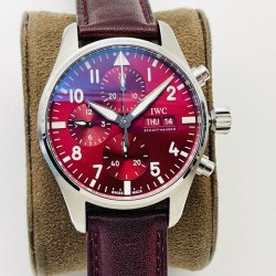 IWC Watches