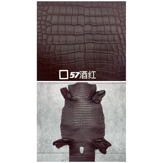 Hermes Matte American Crocodile Color Card