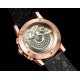 Audemars Piguet Watches