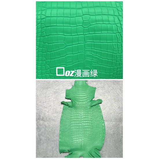 Hermes Matte American Crocodile Color Card