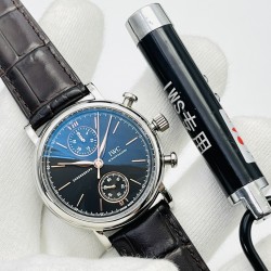 IWC Watches