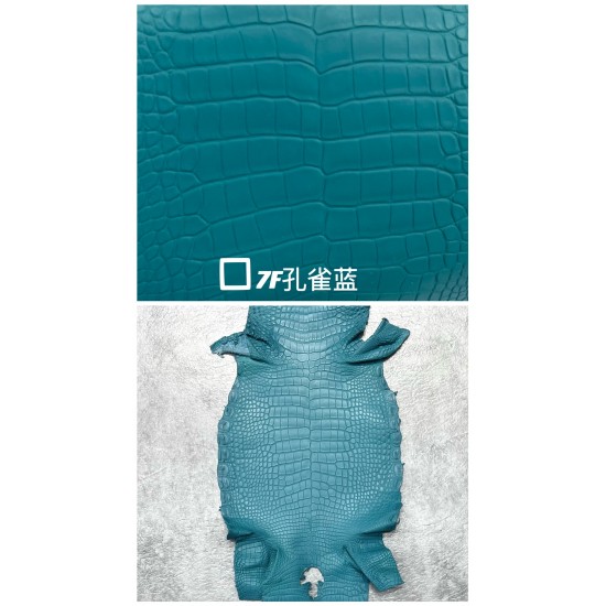 Hermes Matte American Crocodile Color Card