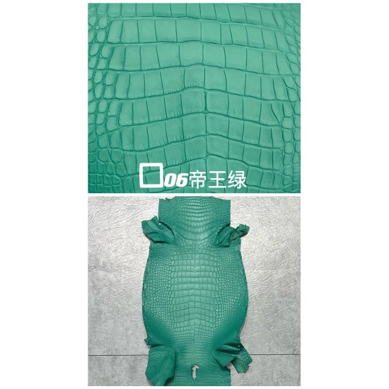 Hermes Matte American Crocodile Color Card