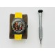 Rolex Datejust Watches