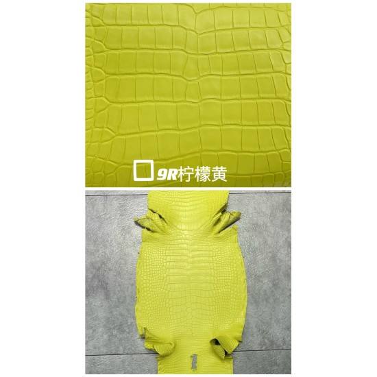 Hermes Matte American Crocodile Color Card