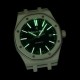 Audemars Piguet Watches