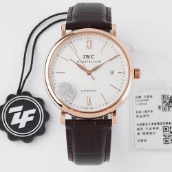 IWC Watches