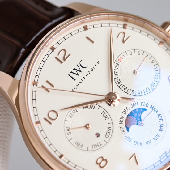 IWC Watches