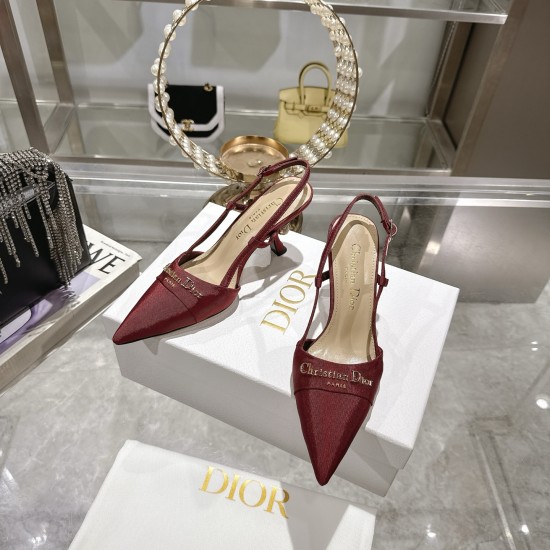 Dior Heels