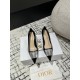 Dior Heels