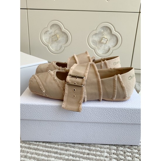 Dior ballerina flats