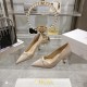 Dior Heels