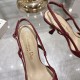 Dior Heels