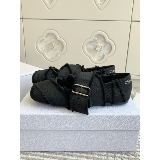 Dior ballerina flats