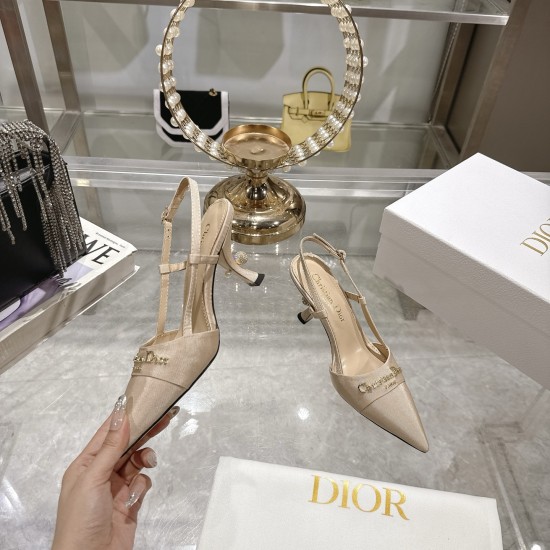 Dior Heels