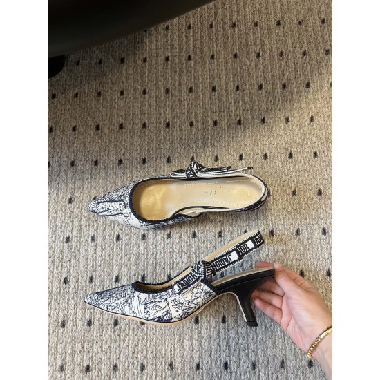 Dior Heels
