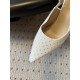 Dior Heels