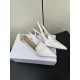 Dior Heels