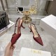 Dior Heels