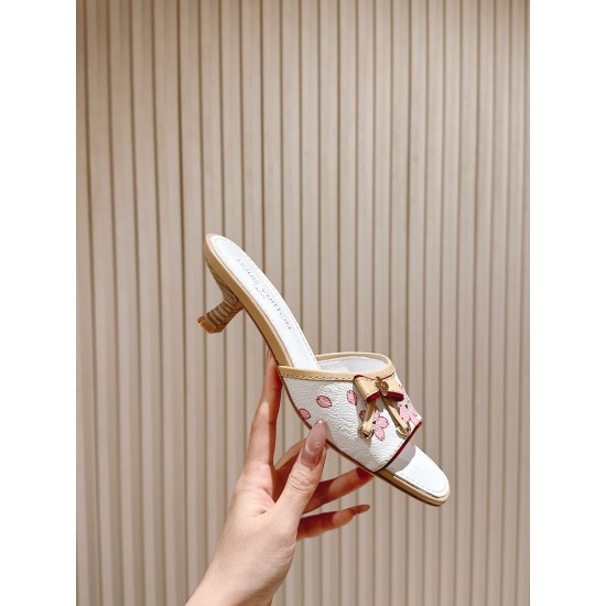 LV Slippers