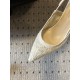 Dior Heels