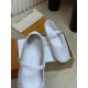 LV Loafers
