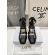 Dior ballerina flats