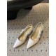 Dior Heels