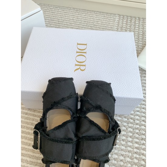 Dior ballerina flats