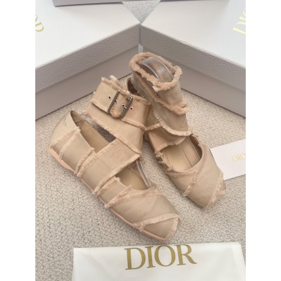 Dior ballerina flats