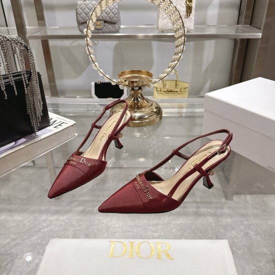 Dior Heels