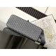 Goyard BAGS