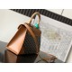 Goyard BAGS