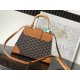 Goyard BAGS