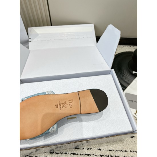Dior Slippers