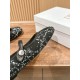 Dior Ballet Flats