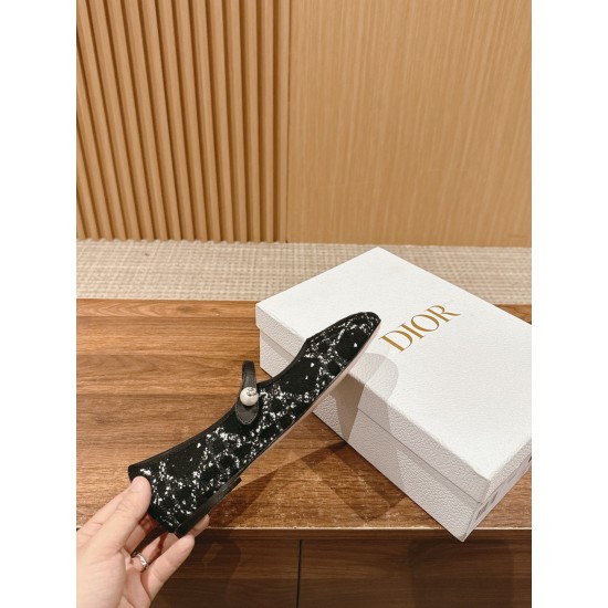 Dior Ballet Flats