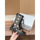 Dior Boots