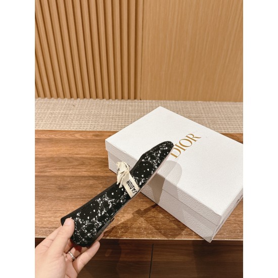Dior Ballet Flats