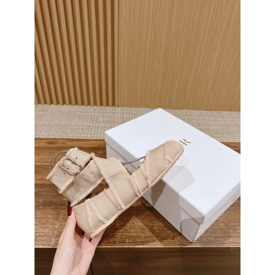 Dior Ballet Flats