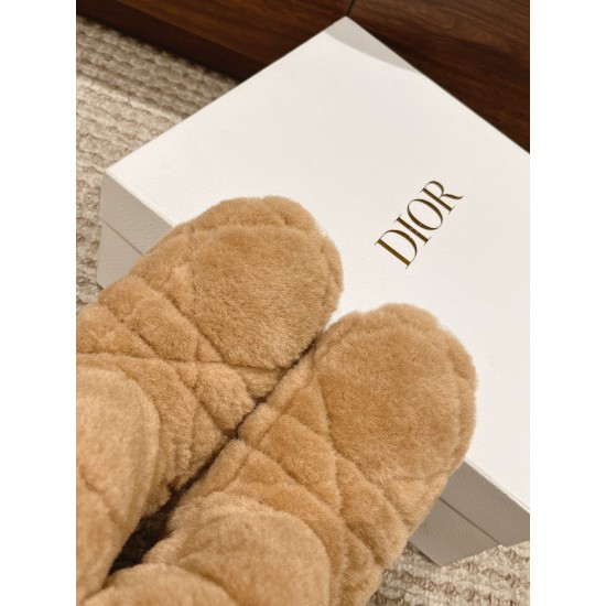 Dior Boots