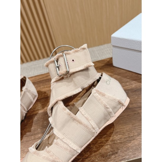 Dior Ballet Flats