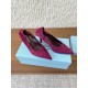 Prada Pumps and ballerinas